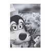 Image 11 : A Collection of Euro Disney S.C.A. Annual Reports.