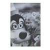 Image 4 : A Collection of Euro Disney S.C.A. Annual Reports.