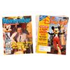 Image 2 : A Large Disney-Related Article Collection.