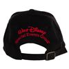 Image 2 : A Walt Disney Special Events Group Hat.
