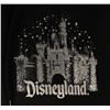 Image 2 : A Disneyland Resort Shiny Hoodie.