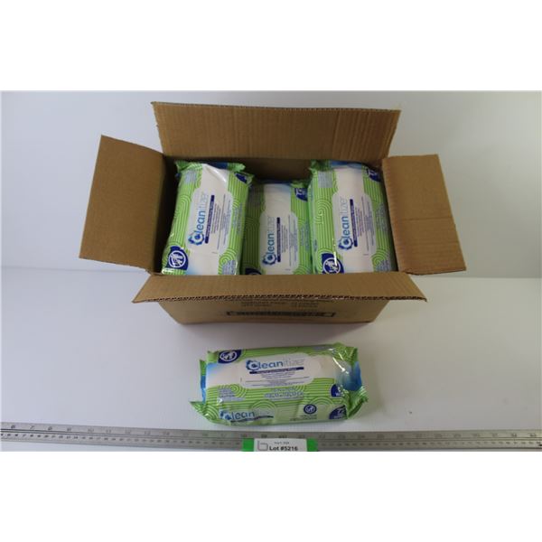 Box of 12 Cleanitize Disinfecting Wipes (NIB)