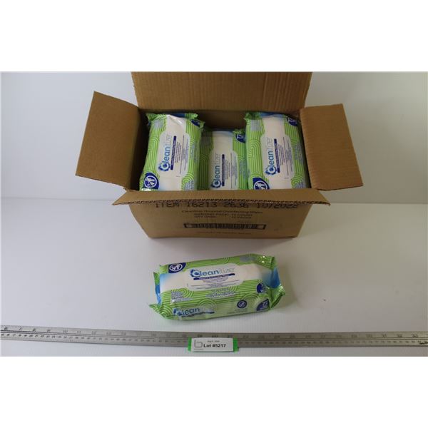 Box of 12 Cleanitize Disinfecting Wipes (NIB)