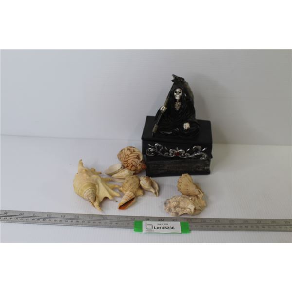 Container - Assortment of Sea Shells