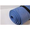 Image 3 : Stott Pilates Mat - As is