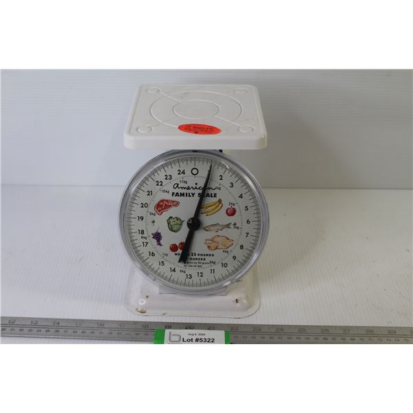 The American Family Scale