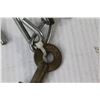 Image 3 : CNR Lock With Key Zip tied to Chain