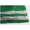 Image 4 : Saskatchewan Roughriders and Pilsner Flag 50''