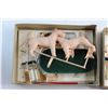 Image 2 : (2) Dogs of the World Plastic Scale Size Assembly Kit