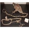 Image 1 : Antique Metal Coyote Traps & More