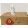 Image 1 : LOT OF 24 BOTTLES OF HAND SANITIZER - 237ML