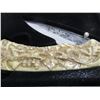 Image 2 : FOLDING POCKET KNIFE
