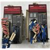 Image 1 : (2) Idec #FS1A-C11S Safety Controllers