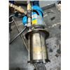 Image 1 : Teral #LHW205A1.1M Pump