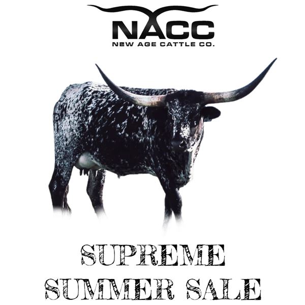 RRR MISS SPECTACULAR 125