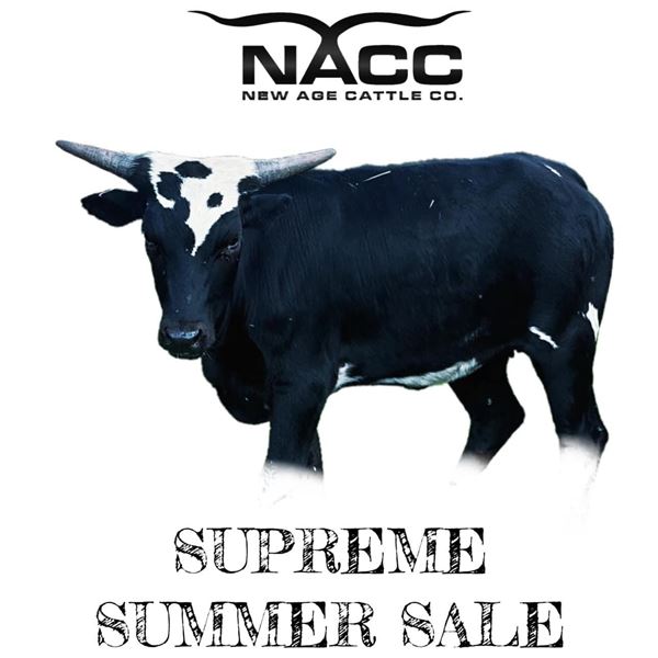 Queen of Darkness RTG