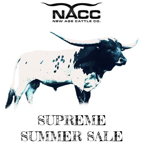 WS VINDICATOR - SEMEN LOT