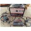 Image 1 : battery charger and battery companion