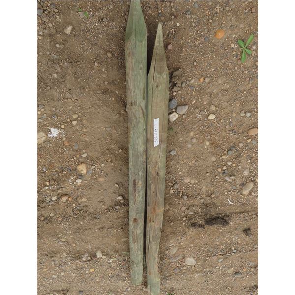 two fence posts