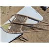 Image 2 : pair of snow shoes