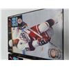 Image 3 : two nhl 250pc puzzles