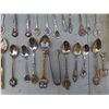 Image 7 : 54pc miniature spoon collection
