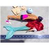 Image 2 : Mermaid doll and Male doll