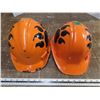 Image 1 : 2 Hard Hats with Lions Paw on side - BC Lions