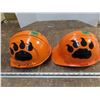 Image 2 : 2 Hard Hats with Lions Paw on side - BC Lions