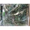 Image 3 : 11 Huge Ziploc Bags of Army Men