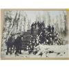 Image 2 : 1910 Sturgeon Lake, logging photo