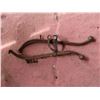 Image 1 : set of horse hames
