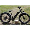 Image 2 : New Rad Power Electric Bike, Radrover Plus. (Never ridden)