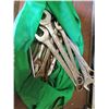 Image 3 : bag of assorted wrenches