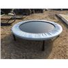 Image 2 : workout trampoline 29" diameter
