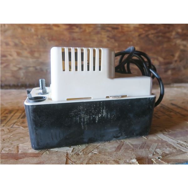 little giant condensate pumnp