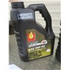 Image 4 : 4 5litre jugs of SAE 0W-30
