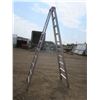 Image 1 : 10ft aluminum ladder