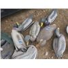 Image 3 : lot of duck and goose decoys