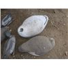 Image 4 : lot of duck and goose decoys