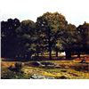 Image 1 : Alfred Sisley - Chestnut Avenue in La Celle-Saint-Cloud