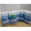 Image 1 : STORE CLOSE-OUT (AS IS):  5 ICE PACKS