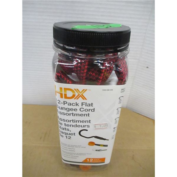 STORE CLOSE-OUT (AS IS):  CONTAINER C/W 12 ASSORTED BUNGEES