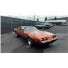 Image 2 : 1980 Pontiac Firebird