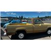 Image 3 : 1974 Dodge D-100