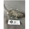 Image 2 : Orthoceras Fossil. Retails $289.00