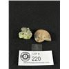 Image 2 : Green Fluorite Specimen & Ammonite Fossil Specimen. Retails $180.00 Each