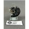 Image 2 : Orthoceras Goniatite Ammonite. Retails $289.00