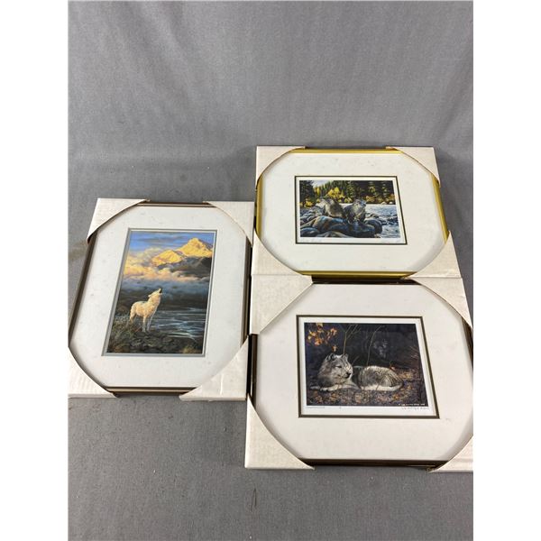 3- 13" x 11" Framed Animals In Nature Pictures