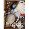 Image 2 : Lia Sophia Earrings, Sea Shells & Mixed Jewelry